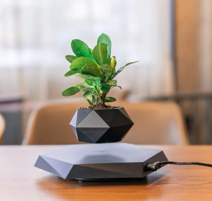 Floating Magnetic Air Plant Pot