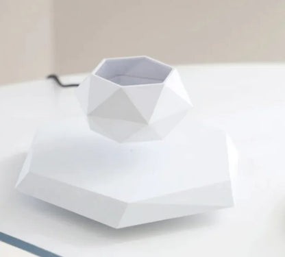 Floating Magnetic Air Plant Pot