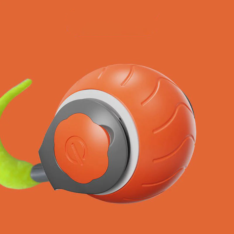 Interactive Cat Ball