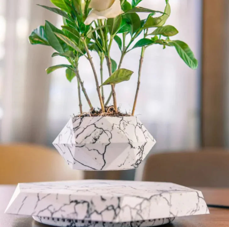 Floating Magnetic Air Plant Pot