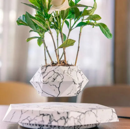 Floating Magnetic Air Plant Pot