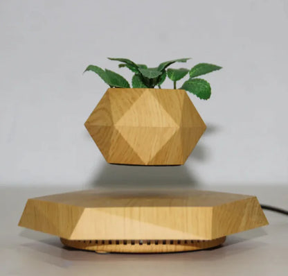 Floating Magnetic Air Plant Pot