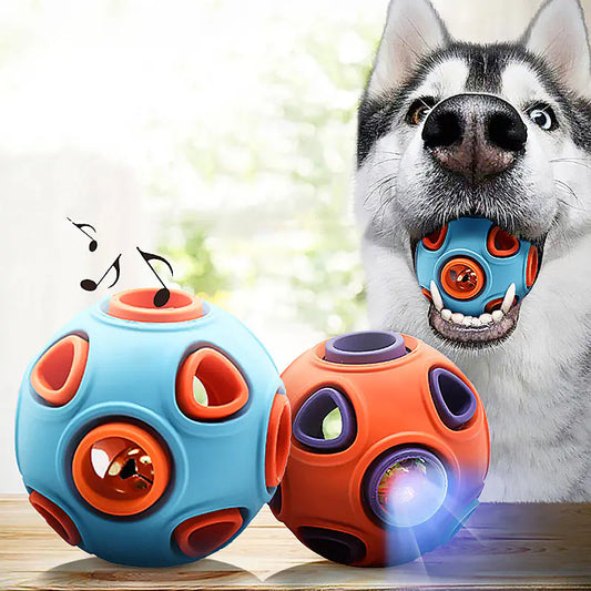 Glow-in-the-Dark Dog Toy