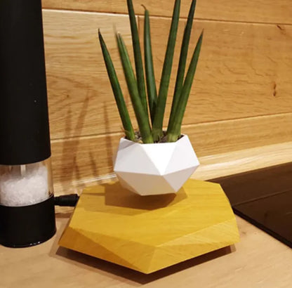 Floating Magnetic Air Plant Pot