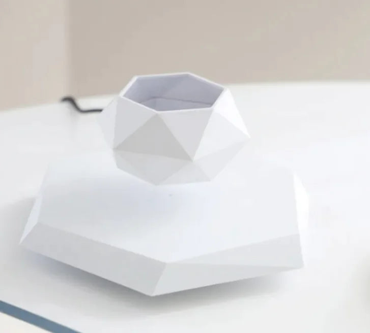 Floating Magnetic Air Plant Pot