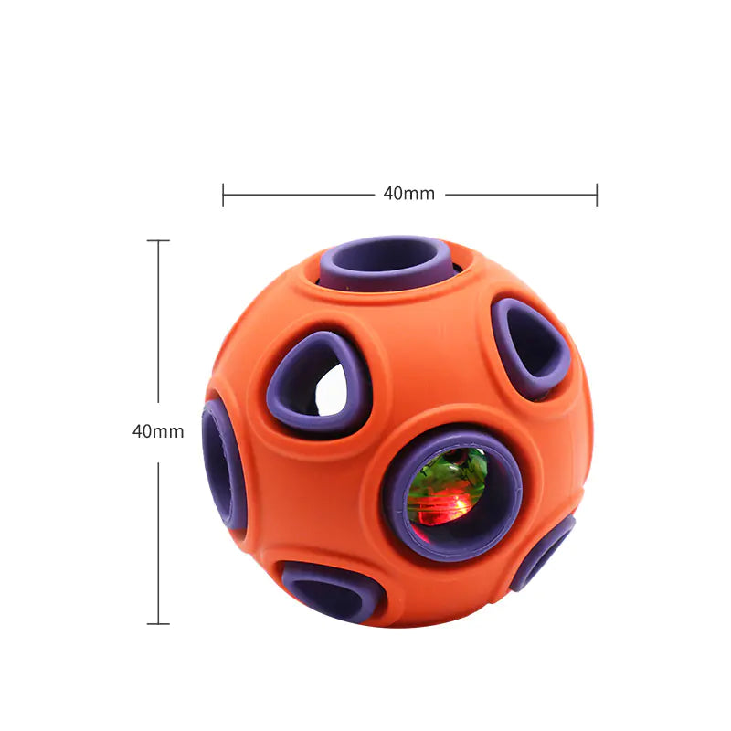 Glow-in-the-Dark Dog Toy